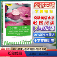 [正版]美丽英文左手倒影右手年华阅读能力词汇强化语法巩固短语训练与美国人同步阅读的英语丛书快速突破英语水平轻松阅读