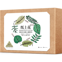 音像纸上花慕容炒肉 编著