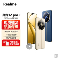 Realme 真我12 Pro+ 天际领航 12GB+256GB 第二代骁龙7S芯 6400W高清 67W快充 5000mAh长续航5G手机