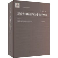 音像国际秩序的法治化进阶肖冰等著