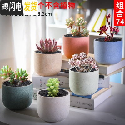 三维工匠多肉花盆套装组合创意个性简约植物盆器室内肉肉花盆批发 如图款式13 中等花盆容器