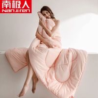 被子冬被芯加厚保暖春秋冬季单人学生宿舍冬棉被褥