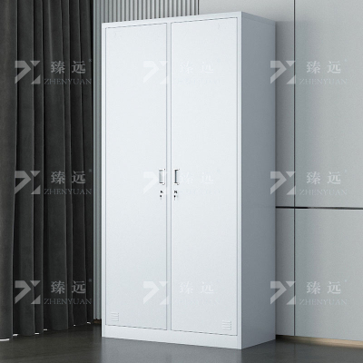 臻远ZY-GYGB-1铁皮更衣柜员工柜寄存包柜鞋柜 2门更衣柜