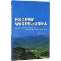 环境工程中的纳米零价铁水处理技术