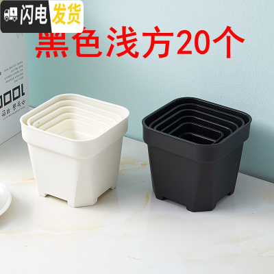 三维工匠经典加强特厚黑白小方大方多肉家庭园艺植物塑料磨砂浅方花盆 黑色浅方20个 6.5cm口径花盆容器