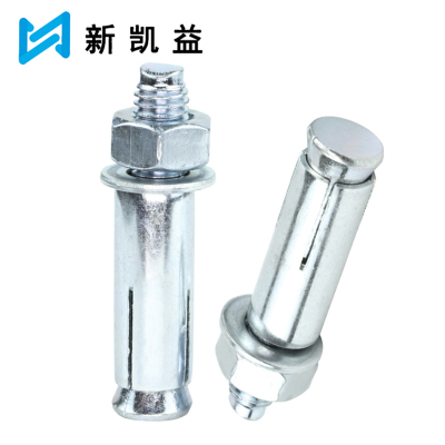 新凯益 镀锌膨胀螺丝 M16*100 个