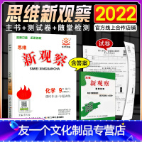 化学 九年级下 [友一个正版]2022版 新观察九年级下册化学 初中初三9年级下册化学完全与课时同步课堂训练培优题压轴题