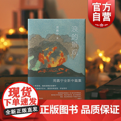 浪的景观 周嘉宁作品收录中篇再见日食/明日派对上海文艺出版社中国现当代文学小说另著基本美/密林中/荒芜城