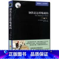 [正版] 钢铁是怎样炼成的 英文版+中文版 中英文对照经典世界名著 英汉对照双译英文小说 英文版双语版初高中学生大学生课