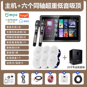 先科(SAST)智能AI家庭吸顶音响客厅无线蓝牙吊顶智能K歌主机+6个6.5英寸超重低音同轴吸顶音响+10吋专业低音炮