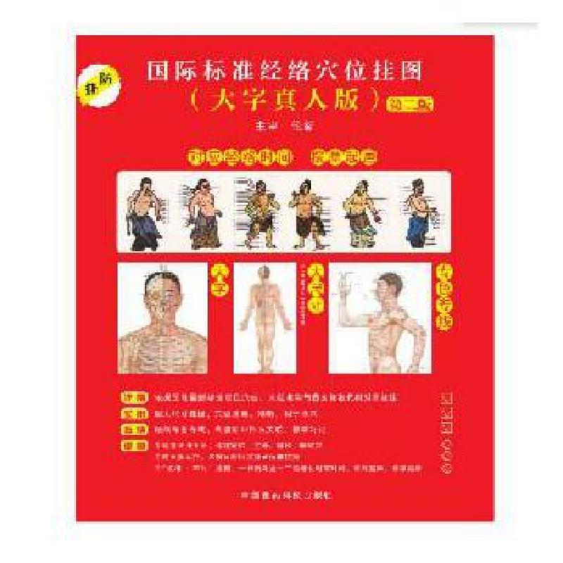 正版新书]国际标准经络穴位挂图(大字真人版·第二版)本社97875