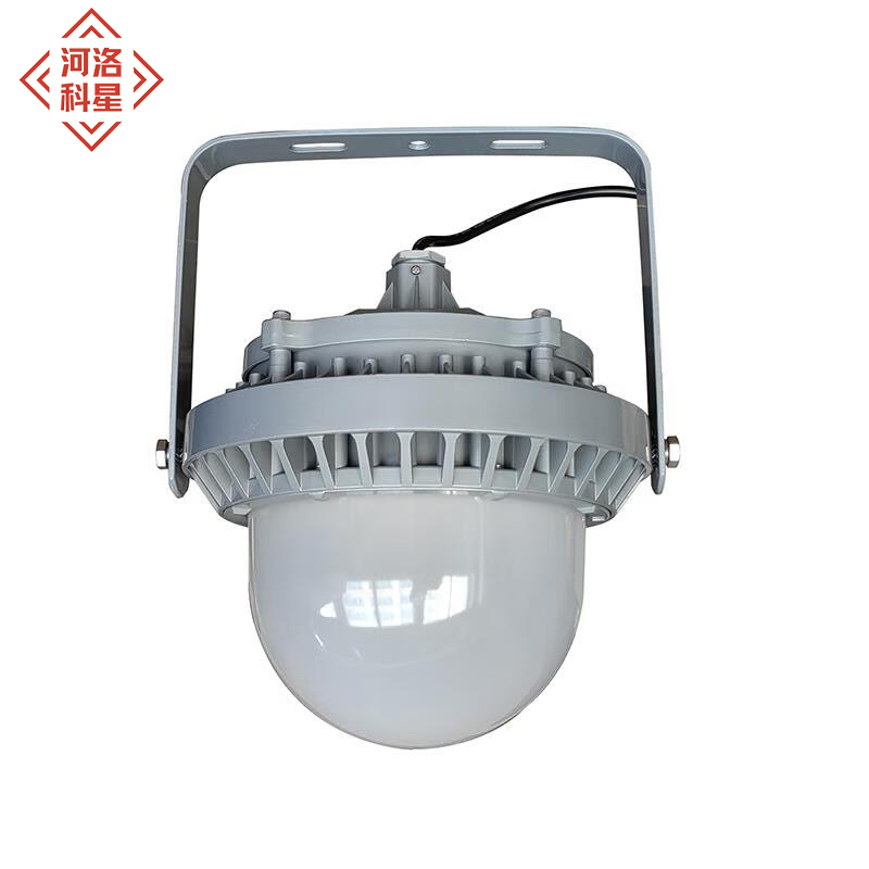 河洛科星LED泛光平台灯 HK211E 50W个