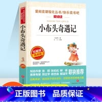 [正版]爱阅读小布头奇遇记语文丛书无障碍阅读图书精读版快乐读书吧儿童读物小学生四五六年级课外阅读书籍老师经典
