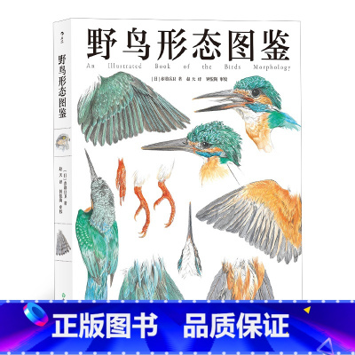 [正版] 野鸟形态图鉴 鸟类图鉴动物自然观察博物学生物科普书籍