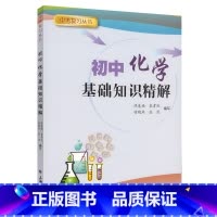 [正版]中考复习丛书 初中化学基础知识精解