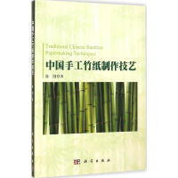 音像中国手工竹纸制作技艺陈刚 著