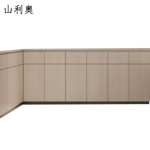 山利奥 定制资料柜 SLA-816 1厘米