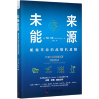 音像未来能源(能源的战略机遇期)(精)(美)杰森·辛克