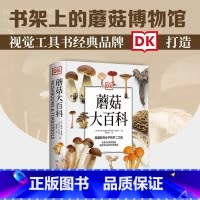 DK蘑菇大百科 [正版] DK探索百科系列 生命儿童百科全书自然百科书博物大百科系列dk科普书博物大百科植物王国斑斓