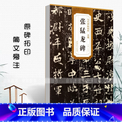 [正版]北魏张猛龙碑历代碑帖精粹杜浩编 简体旁注碑帖楷书毛笔字帖书法练习临摹技法书写练字帖安徽美术出版社