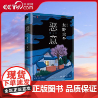 [央视网]恶意 东野圭吾高口碑名作 外国文学悬疑推理侦探小说正版书籍 日本悬疑推理犯罪小说 WX