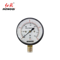红旗 膜盒压力表 YE60 0-16Kpa 块