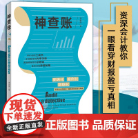 书企业财务的内审手册]神查账 邓治萍著 财会读本化繁为简 财报盈亏真相 审计员的工具书 老板财务管控必修课 税务稽查