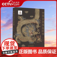 [央视网]中国京剧服装纹样 京剧舞台角色美术人物造型装饰纹样传统工艺民俗文化京剧照工艺美术传统图案线描绘画艺术WX