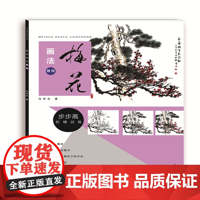 梅花画法教程