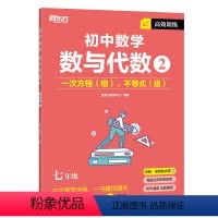 数与代数2 七年级 初中通用 [正版]高效训练初中数学 七年级八年级九年级中考数学刷题同步代数几何统计辅导资料中考提分