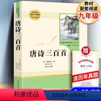 [人教版]唐诗三百首+考点 [正版]人教版泰戈尔诗集泰戈尔诗选全集 初中生版飞鸟集新月集原著九年级上册 初中版人民教育出