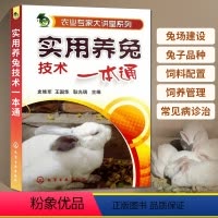 [正版]实用养兔技术一本通 养兔技术大全兔子养殖技术书肉兔科学养殖书籍农业畜牧兽医专业圈养兔病预防与诊治野兔饲养养殖场建