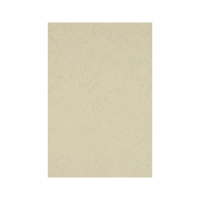 优彩嘉 彩色皮纹纸 A4 230g 银灰色 1512 包