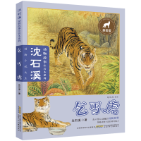 乞丐虎沈溪石动物故事注音本沈溪石著美绘版绘本走进惊心动魄的动物世界领略动物小说的神奇魅力安徽少年儿童出版社__134