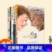 原创经典文学亲情系列(5册套装) [正版] 原创经典文学亲情系列5册套装4-6年级适读外婆西大街九岁红三十六只蜂箱红裳中