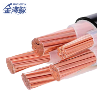 金海鲸 阻燃铠装铜电缆ZCYJV223×50+1 米