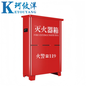 珂攸洋 灭火器箱 4kg*2 个