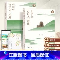 中学生古诗文一本通(上下册) [正版]中学生古诗文一本通上下册全套 初中古诗词和文言文全解一本通中学生语文古诗文完全解读