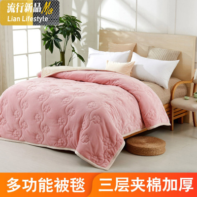 毛毯珊瑚绒被子水晶绒毯双人盖毯双层加厚冬季保暖法兰绒毯子垫床三维工匠