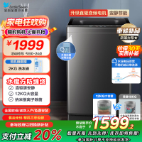 小天鹅(LittleSwan)波轮洗衣机全自动 12公斤大容量水魔方防缠绕银离子除菌深层除螨直驱变频TB120M08DT