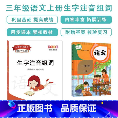 生字注音(三年级上下册共2本) [正版]帝源三年级上册生字注音组词课文多音字形近字同音字汉字造句多音字同音字形近字强化练