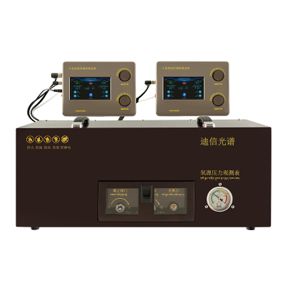 迪信光谱 氧源压力观测表测试仪 LS-VM-23-A 套