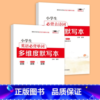 语文+英语 多维度默写本*2册 小学升初中 [正版]2023年小升初分班全真模拟试测试卷初一入学必刷题人教版语文数学英语