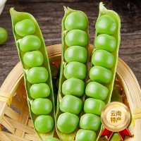 [西沛生鲜]云南新鲜豌豆 净重5斤