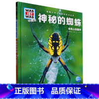 [正版]神秘的蜘蛛