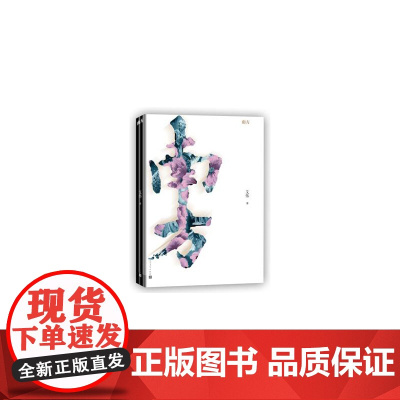 南方 艾伟 人民文学出版社 正版书籍