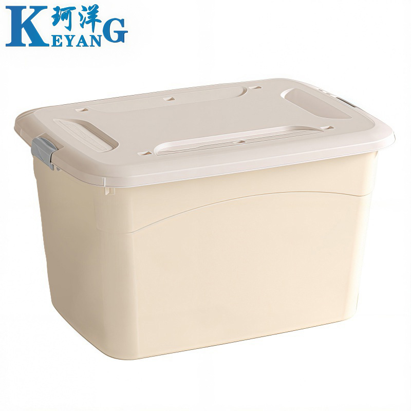 珂洋 整理箱 大号(奶油白) 个