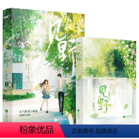 [正版]《见野》高人气作者宁雨沉破圈高甜青春代表作!超6.5万人评分,数百万人阅读!怦然心动X双向救赎X与光同行,元气
