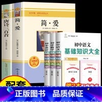 [正版配套附赠考点]九年级上册必读+基础知识大全 [正版]唐诗三百首水浒传艾青诗选简爱儒林名著九年级上册必读原著书