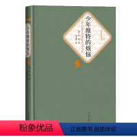 少年维特的烦恼(精)/名名译丛书 [正版]少年维特的烦恼(精)[德] 歌德 杨武能名著名译丛书名著世界十大文豪少年维特之